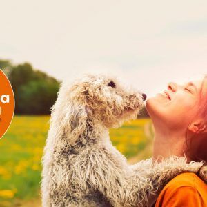 Curso Conexión Estática – contado