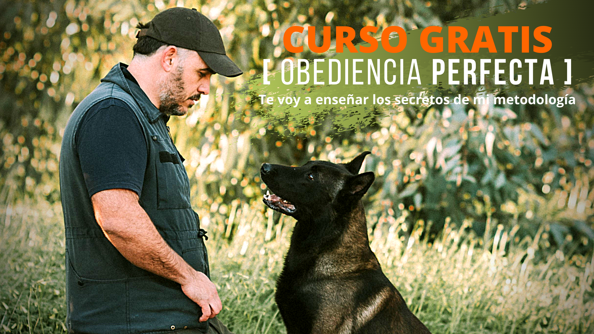 Curso Gratuito Top Obediencia Perfecta